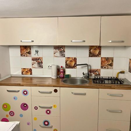 Tampa Residence براشوف المظهر الخارجي الصورة
