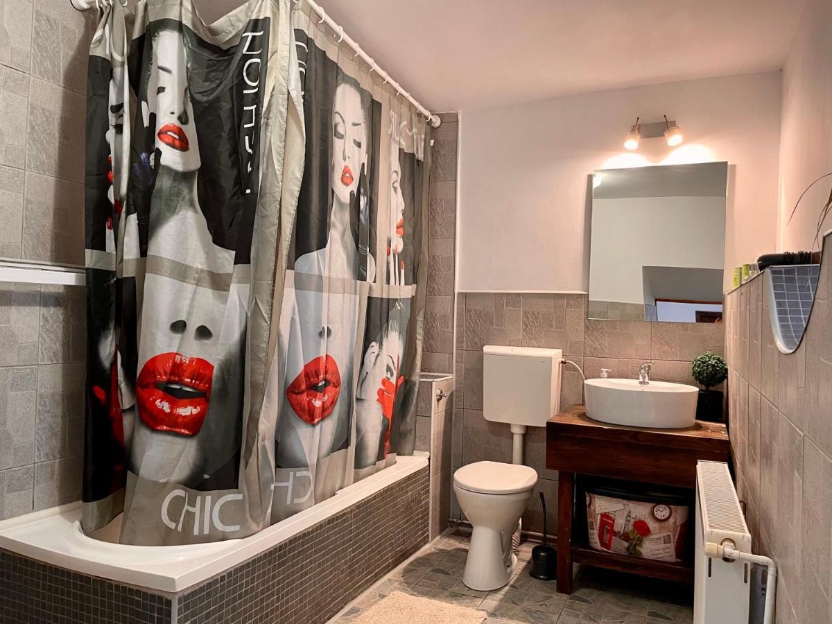 Tampa Residence براشوف المظهر الخارجي الصورة