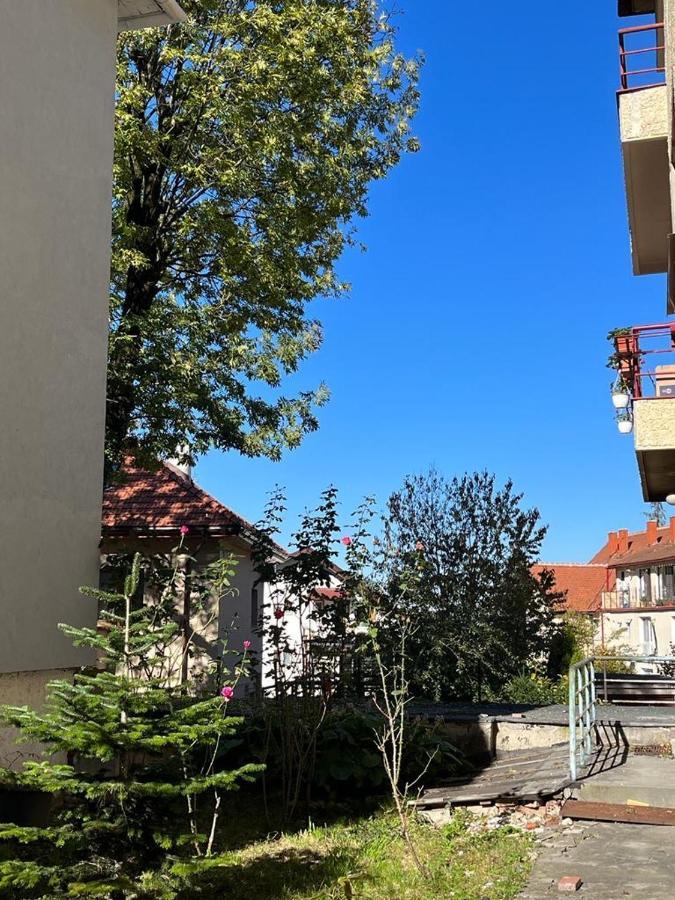 Tampa Residence براشوف المظهر الخارجي الصورة