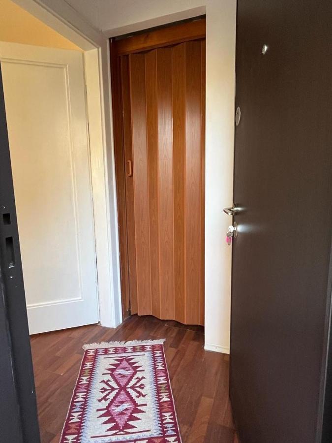 Tampa Residence براشوف المظهر الخارجي الصورة