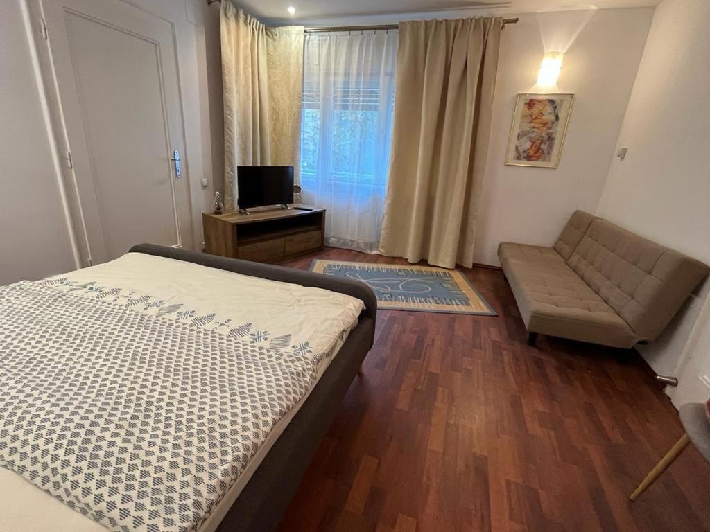 Tampa Residence براشوف المظهر الخارجي الصورة